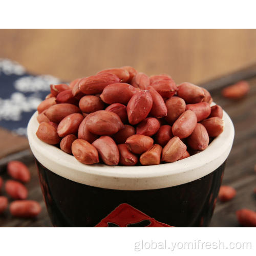 Organic Peanut Peanut Vs Tree Nut Supplier